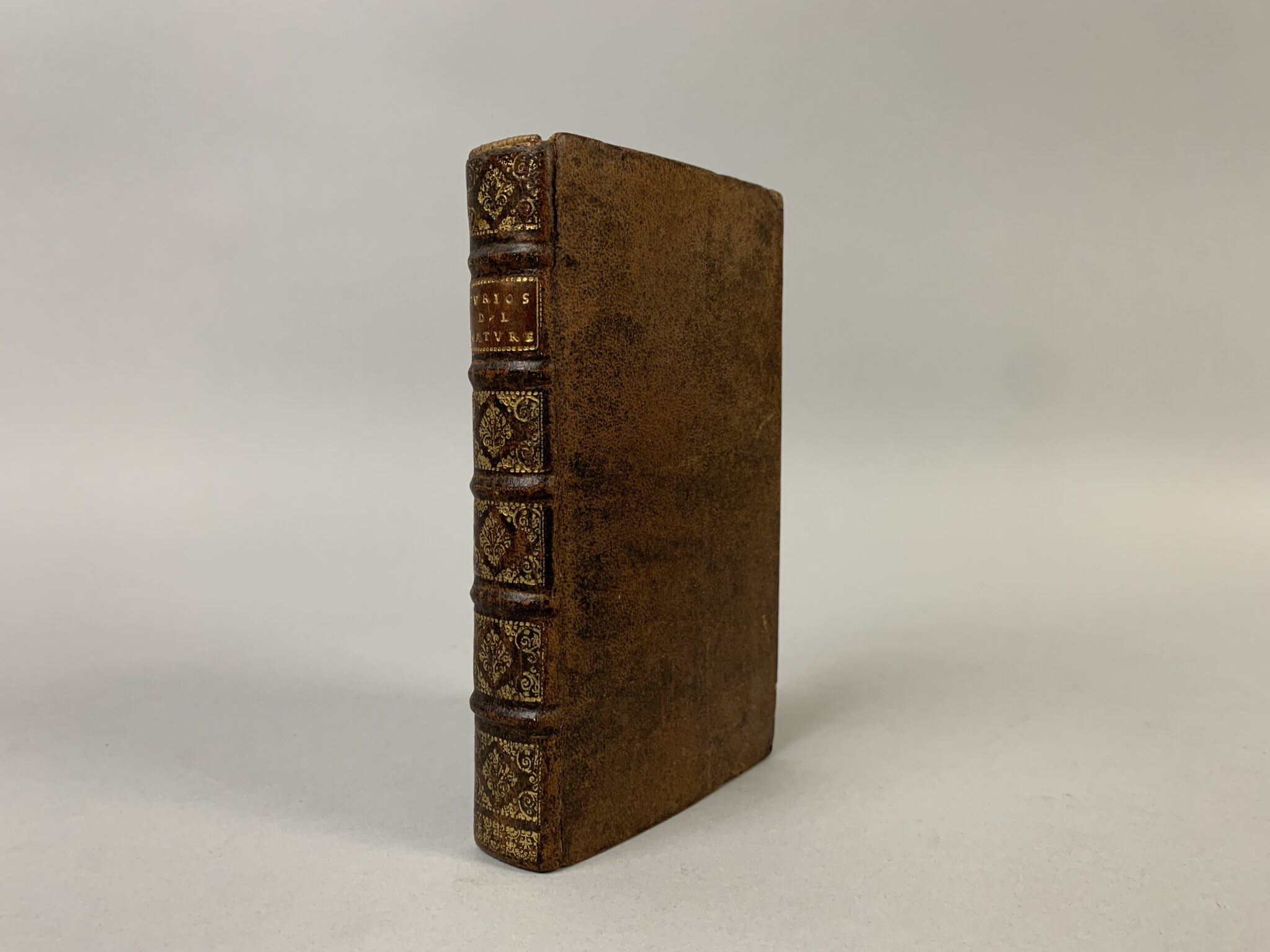 Lot 123