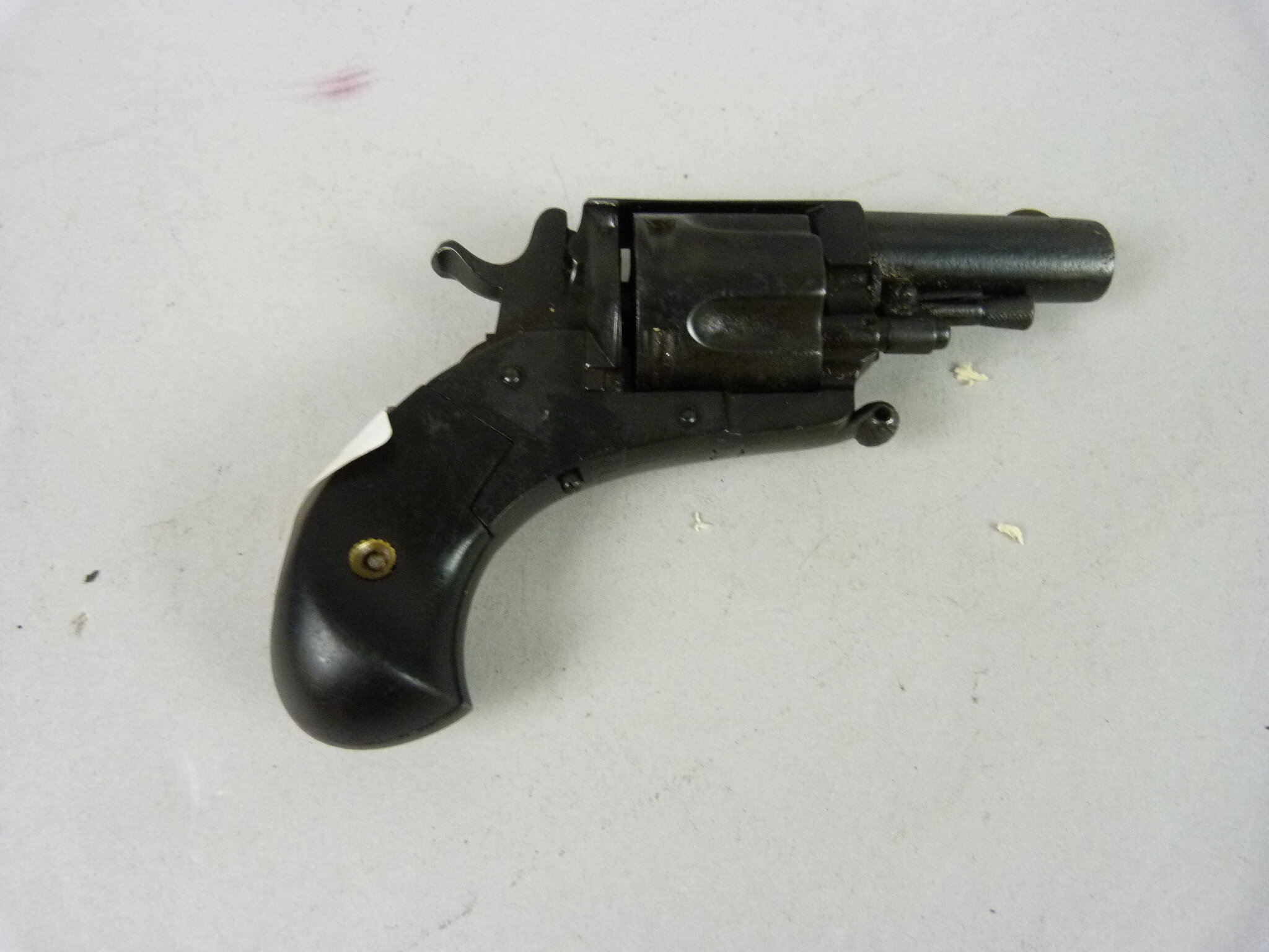 Lot 41
